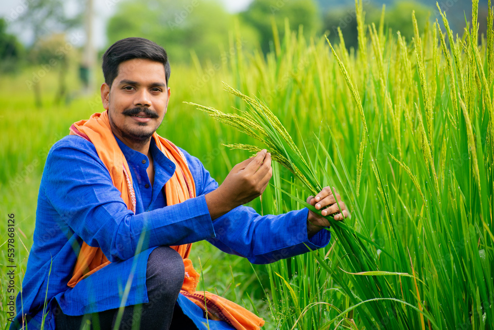 Happy Farmer in Mango Orchard